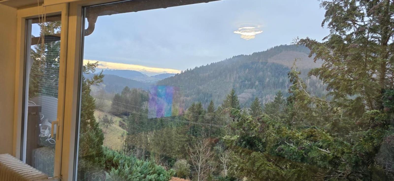 Wohnung Im Schwarzwald Mit Panorama Blick Kleines Wiesental Buitenkant foto