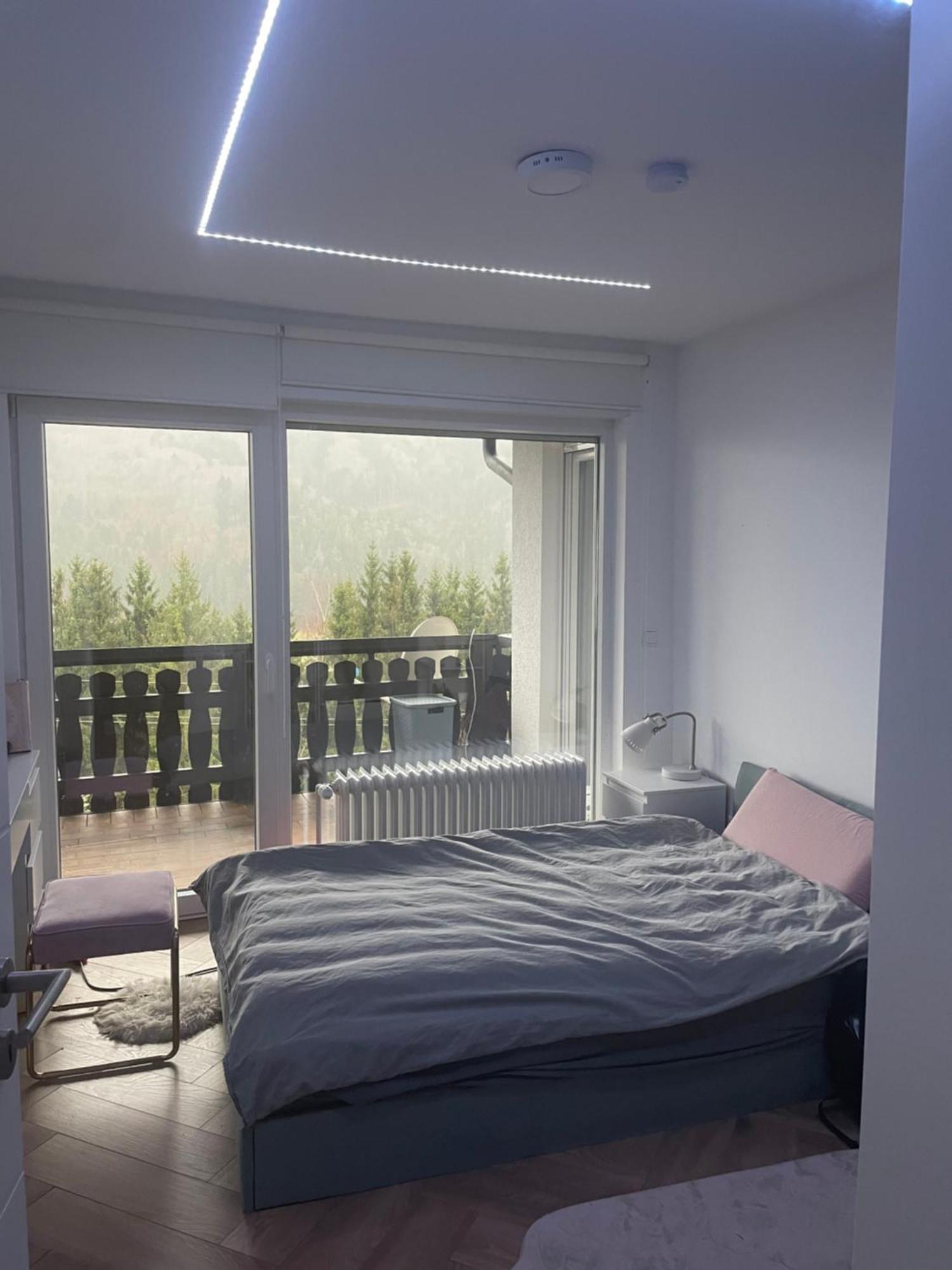 Wohnung Im Schwarzwald Mit Panorama Blick Kleines Wiesental Buitenkant foto