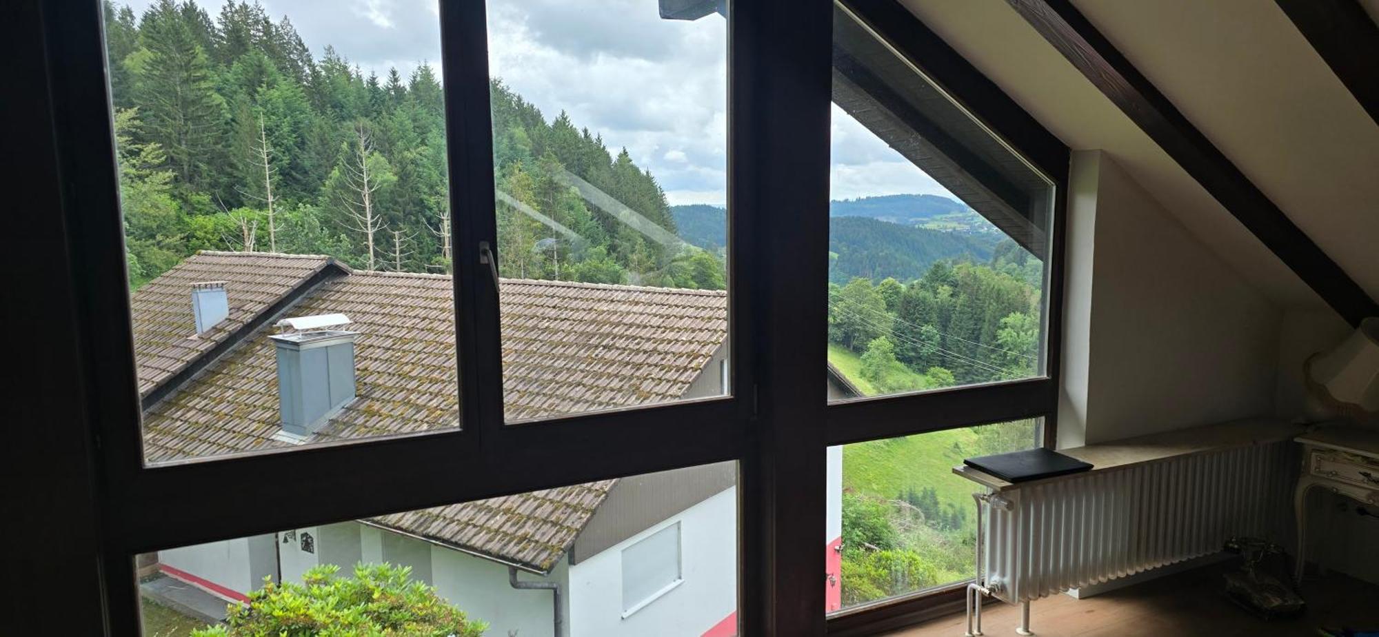 Wohnung Im Schwarzwald Mit Panorama Blick Kleines Wiesental Buitenkant foto